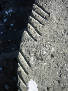 102107426_b3cd240e84