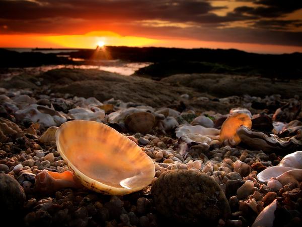 postcards-from-brittany-1_l