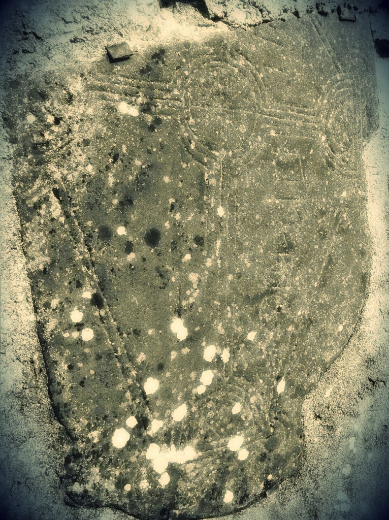 BILD0217_Logan-1_Sophia