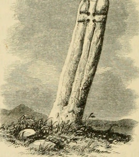 14780922874_0b0dbd4b18_o