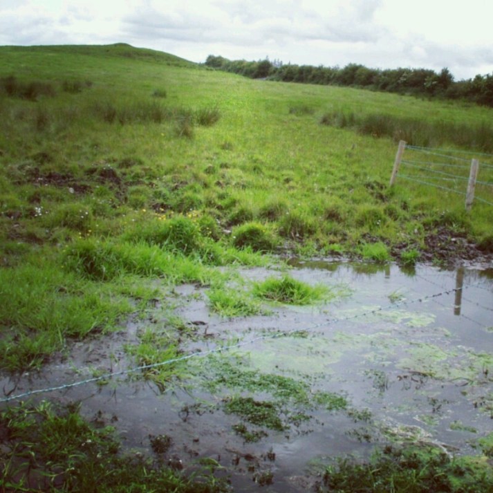 IMG_20151030_231207.jpg image