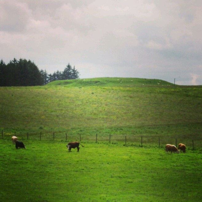 IMG_20151030_231522.jpg image