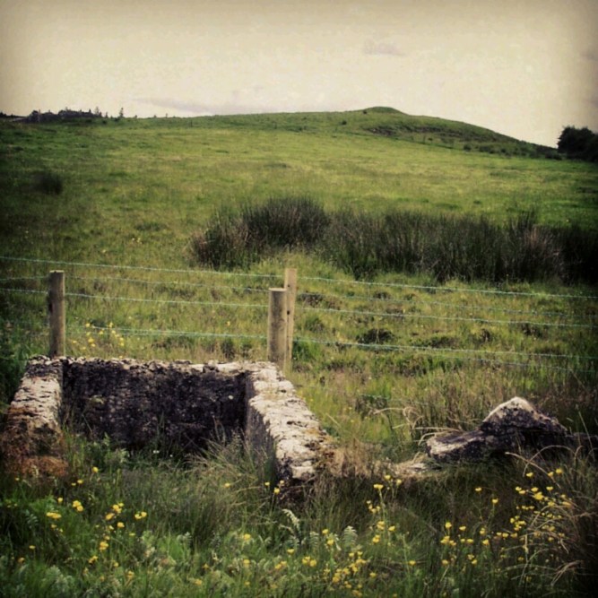 IMG_20151030_232202.jpg image