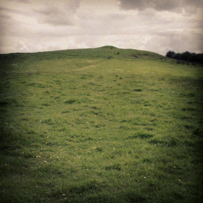 IMG_20151030_232300.jpg image