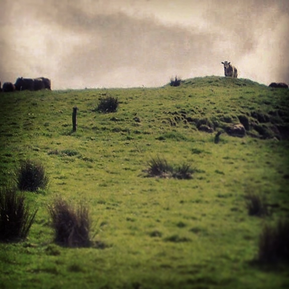 IMG_20151030_232734.jpg image