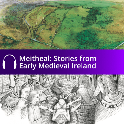 Meitheal-Stories-from-Early-Medieval-Ireland-500x500.png